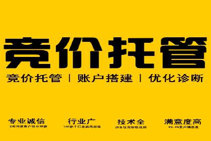 百度搜索引擎优化推广案例解析